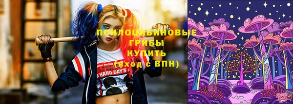 крисы Алексин