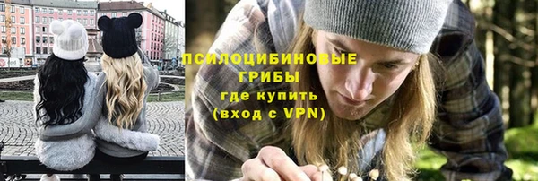 ПСИЛОЦИБИНОВЫЕ ГРИБЫ Абинск