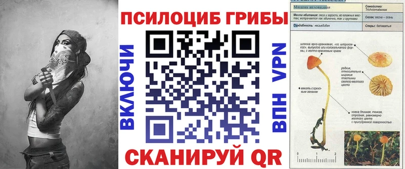 купить   Клинцы  Псилоцибиновые грибы мухоморы 