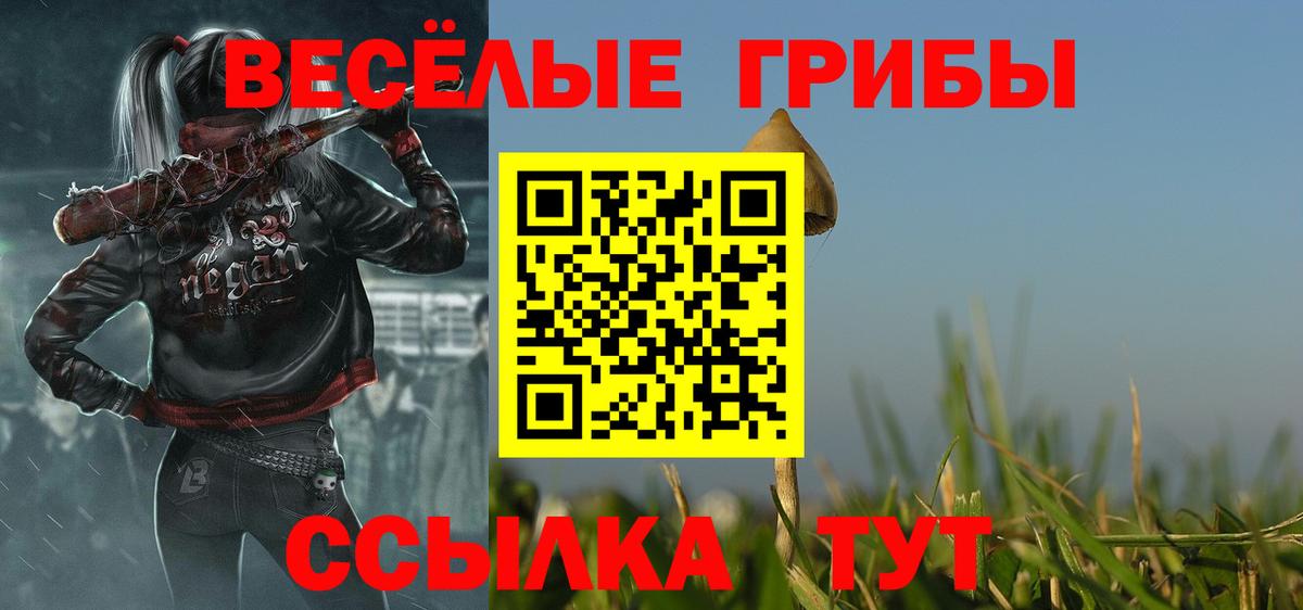 Галлюциногенные грибы GOLDEN TEACHER Клинцы